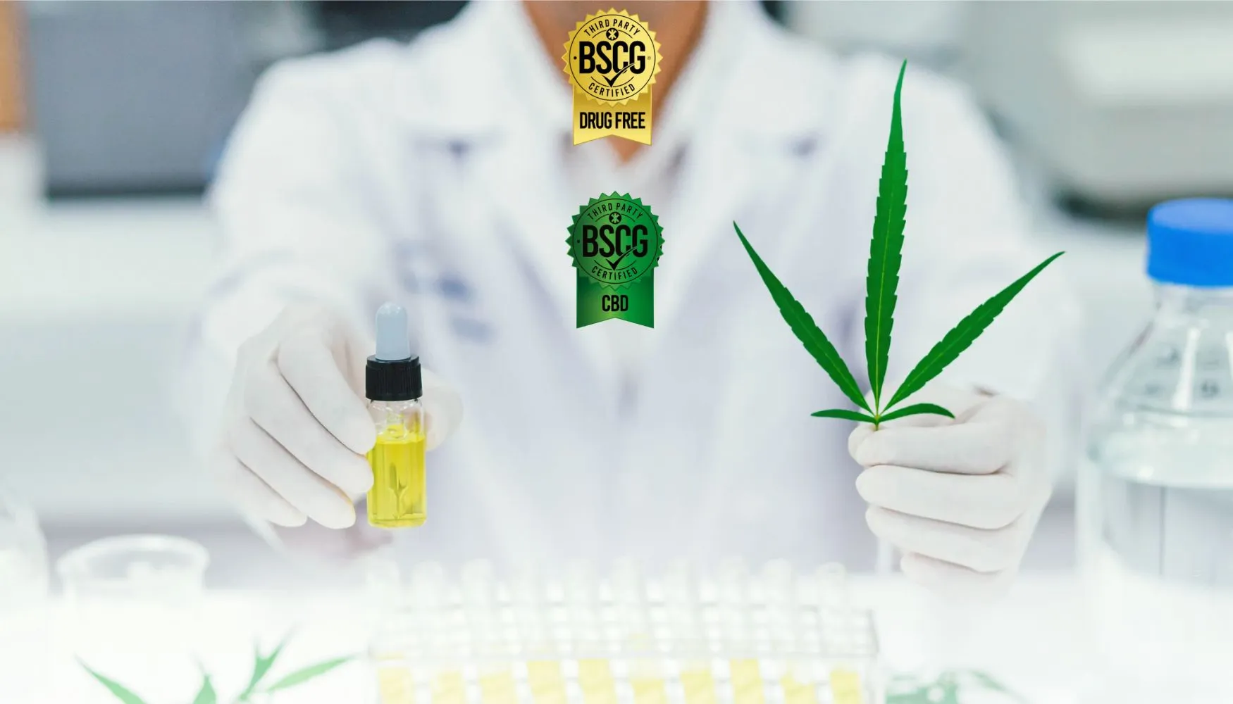 BSCG-CBD-email-banner-image