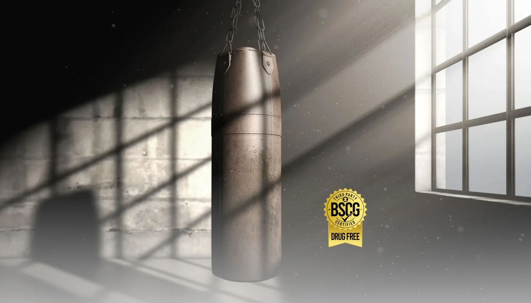 BSCG-UFC-email-banner-image