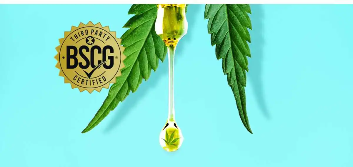 BSCG Blog Email