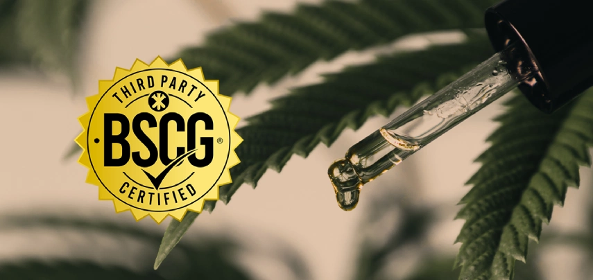 Is Cannabis the New Frontier in Sports Recovery