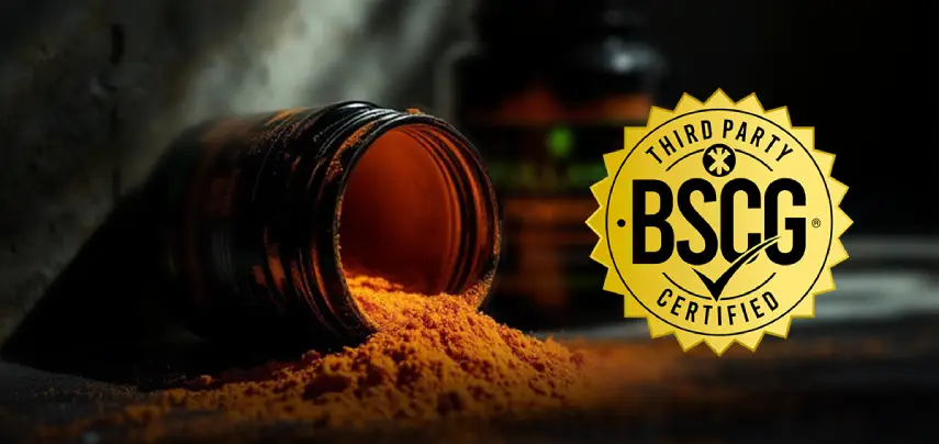 The-Rise-of-Nootropics-in-Sports-and-Everyday-Life