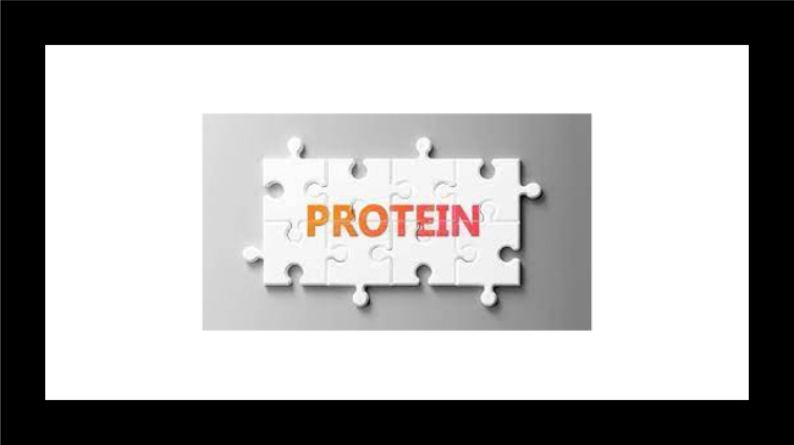 protein