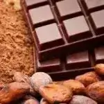 chocolate and cocoa powder