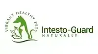 intesto logo