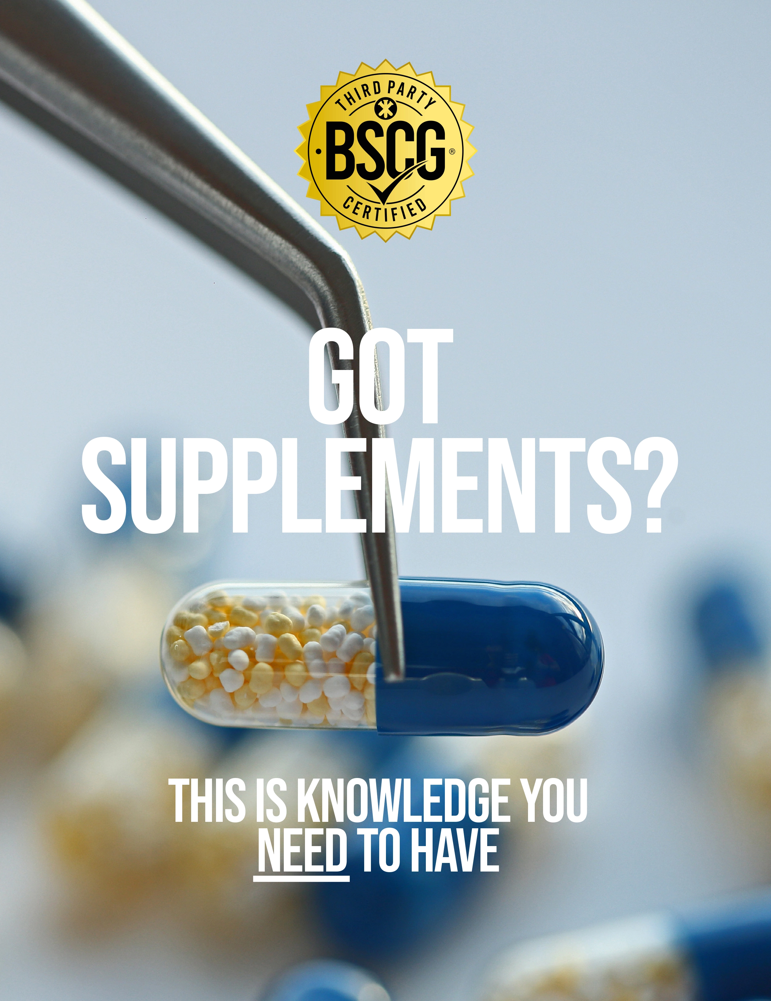 bscg manufacturing supplements ebook